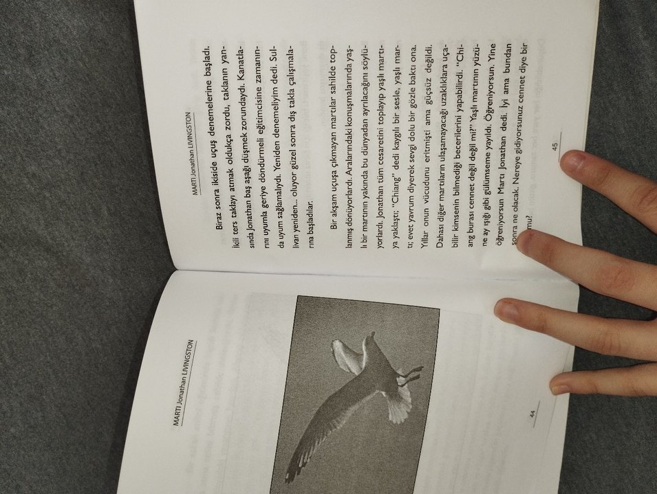 Martı - Jonathan Livingston Rchard Bach - Görsel 3