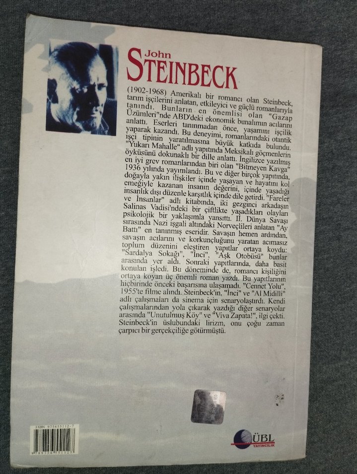 John Steinbeck - İnci Romanı - Görsel 2
