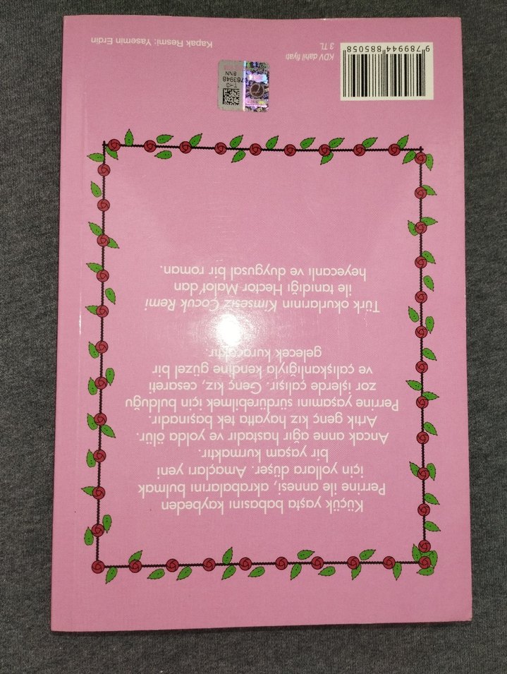 Kimsesiz Kız - Hector Malot - Feyza Algan (çeviri) - Görsel 2