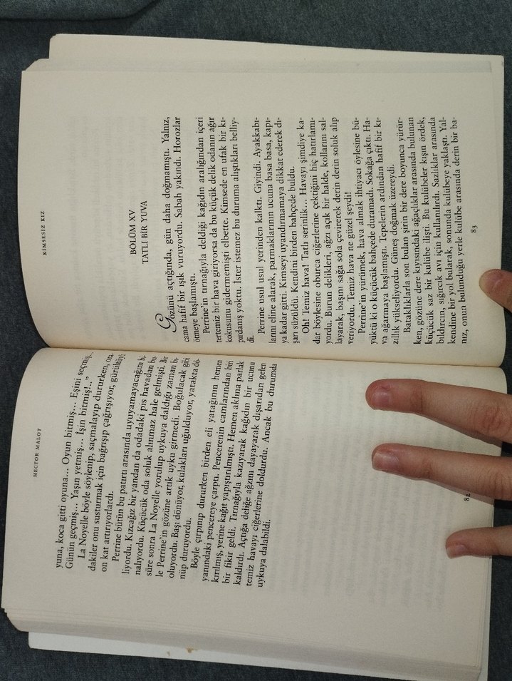 Kimsesiz Kız - Hector Malot - Feyza Algan (çeviri) - Görsel 3