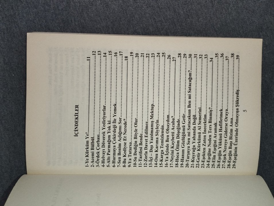 Nasrettin Hoca Fıkraları Çocuk Kitabı - Görsel 2