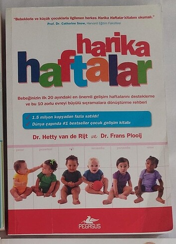 Harika Haftalar Çocuk Gelişim Kitabı