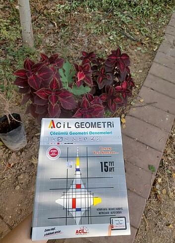 Acil geometri denemesi piyasanın en kaliteli geometri denemesi