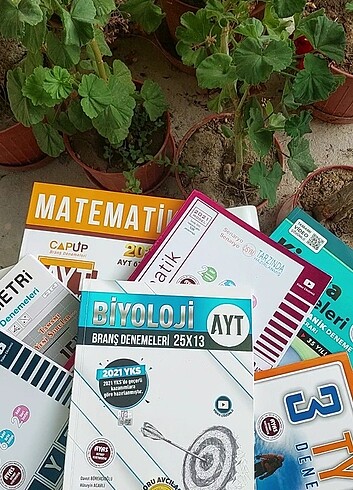 Beden 345 ayt fen bilimleri denemesi (0 üründür)