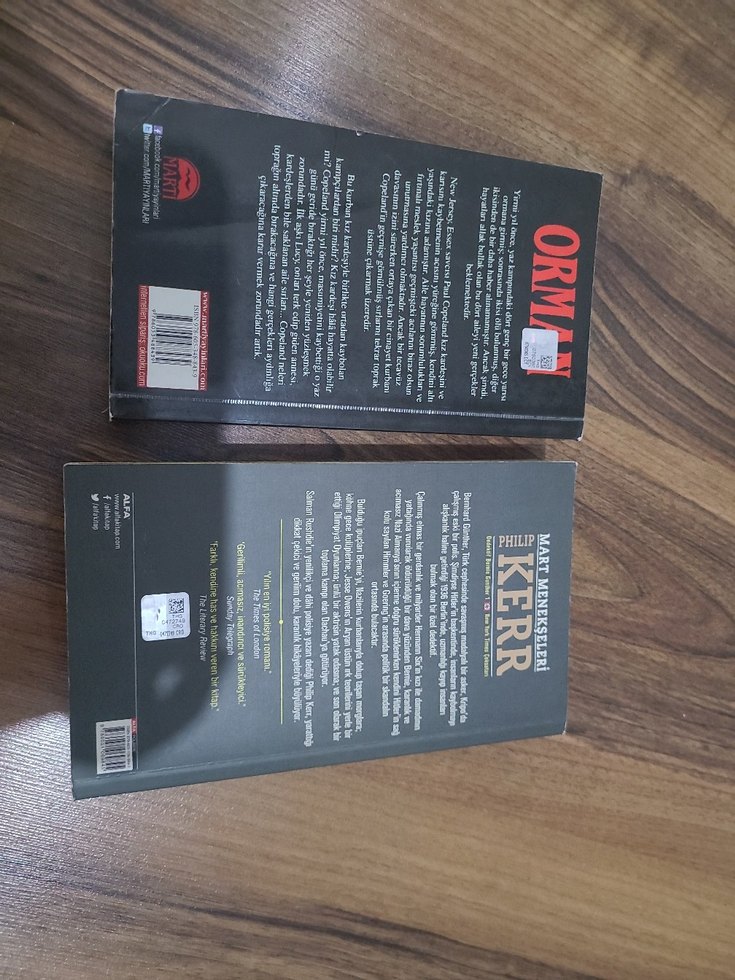 Orman ve Mart Menekşeleri Romanları - Görsel 2