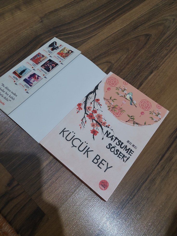 Küçük Bey - Natsume Soseki - Görsel 2