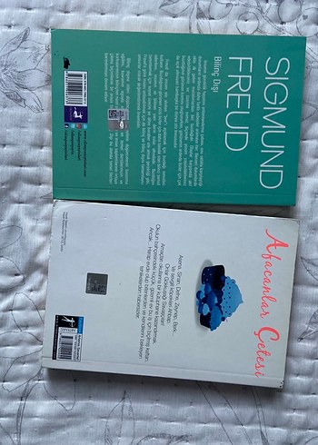 Beden Sigmund Freud ve İpek Ongun Kitapları