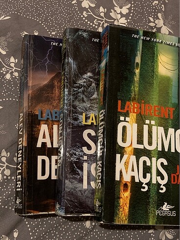  labirent serisi kitap