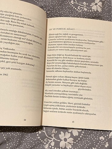  sylvia plath seçme şiirler