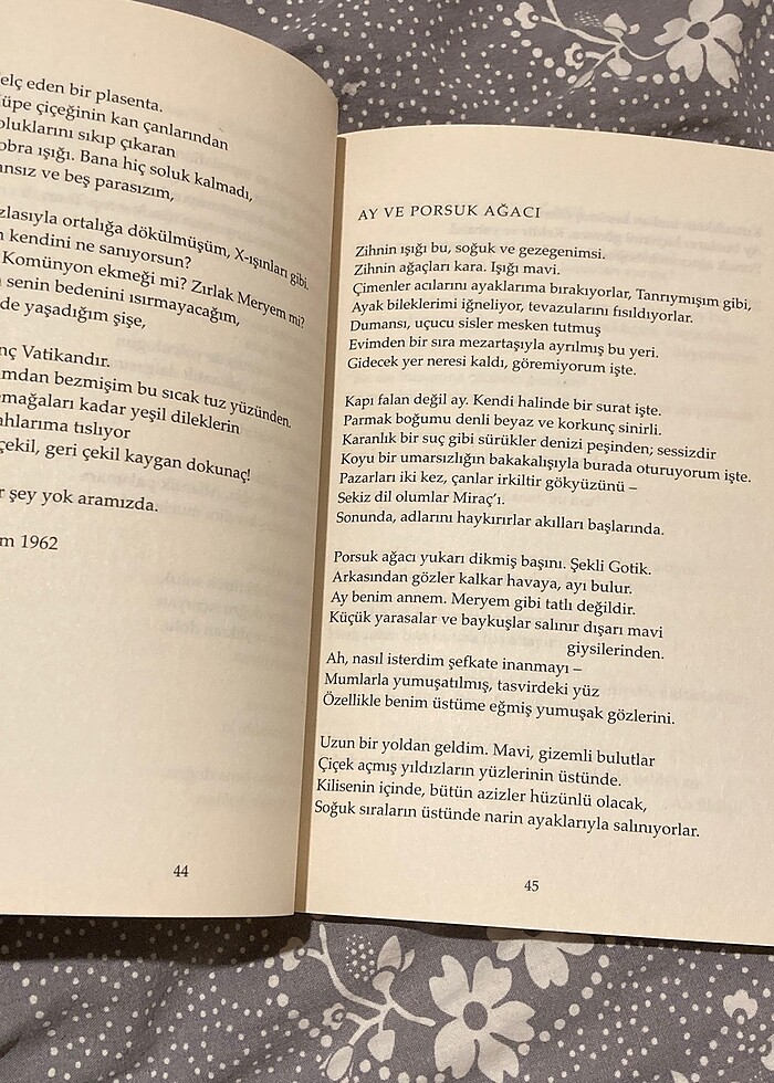 sylvia plath seçme şiirler - Görsel 2