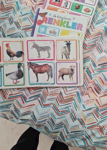 Çocuklar İçin İlk Kitap Seti: Hayvanlar, Renkler, Şekiller - Görsel 2
