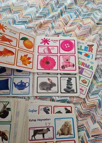 Çocuklar İçin İlk Kitap Seti: Hayvanlar, Renkler, Şekiller - Görsel 4