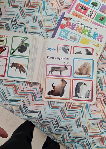 Çocuklar İçin İlk Kitap Seti: Hayvanlar, Renkler, Şekiller - Görsel 3