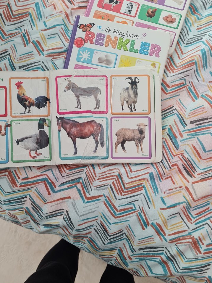 Çocuklar İçin İlk Kitap Seti: Hayvanlar, Renkler, Şekiller - Görsel 2