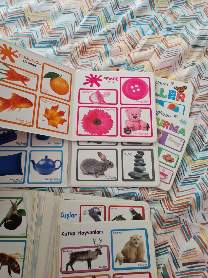 Çocuklar İçin İlk Kitap Seti: Hayvanlar, Renkler, Şekiller - Görsel 4