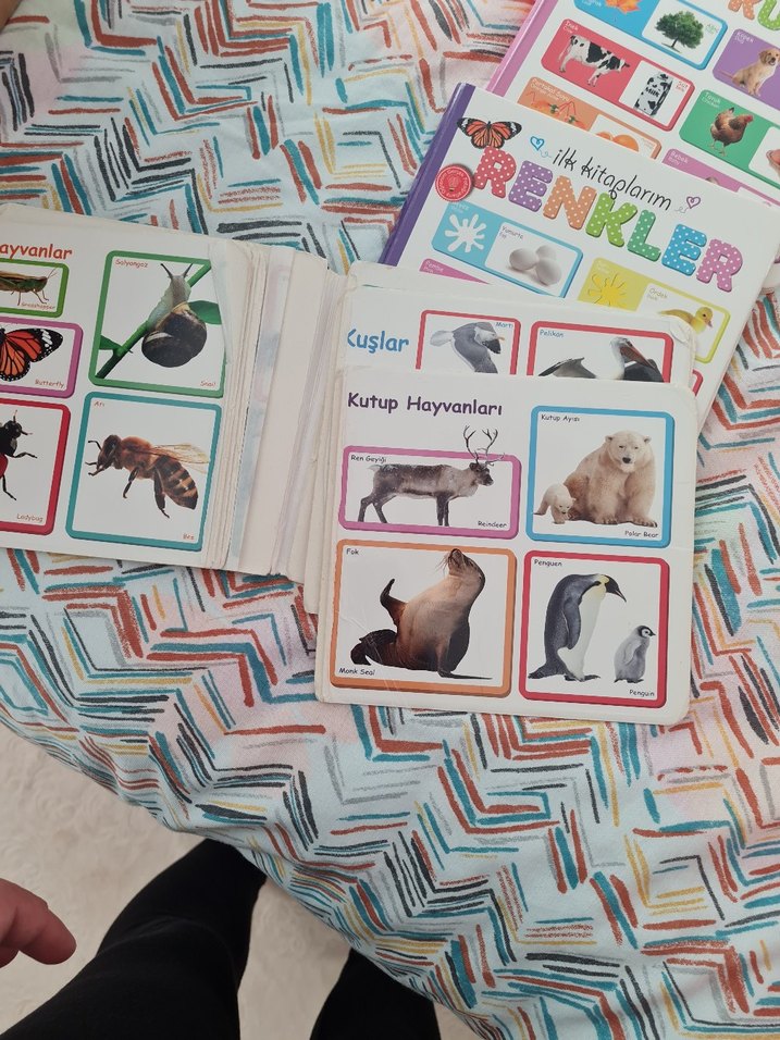 Çocuklar İçin İlk Kitap Seti: Hayvanlar, Renkler, Şekiller - Görsel 3