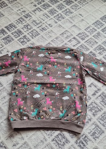 Kız Çocuk Gri Uzun Kollu Baskılı Sweatshirt - Görsel 2