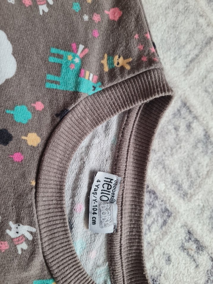 Kız Çocuk Gri Uzun Kollu Baskılı Sweatshirt - Görsel 3