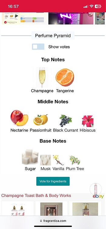 Beden Champagne Toast Bath & Body Works