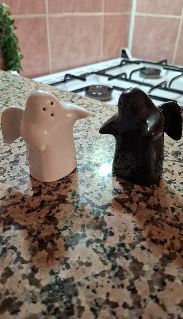 Siyah ve Bej Melek Tuzluk ve Biberlik - Görsel 3