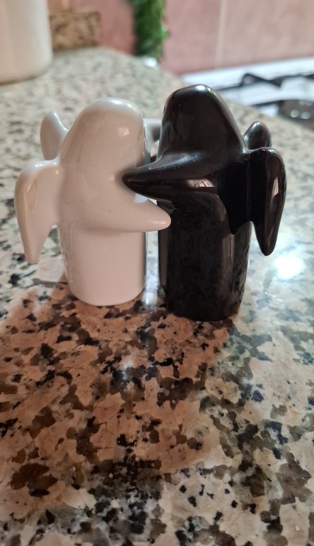 Siyah ve Bej Melek Tuzluk ve Biberlik - Görsel 5