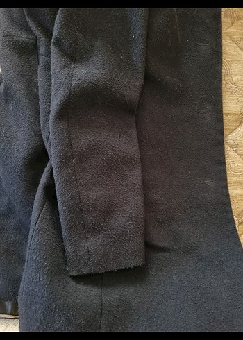 Siyah Kaban - Görsel 3