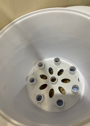 Weewell Pastel Renkli Sterilizatör - Görsel 4