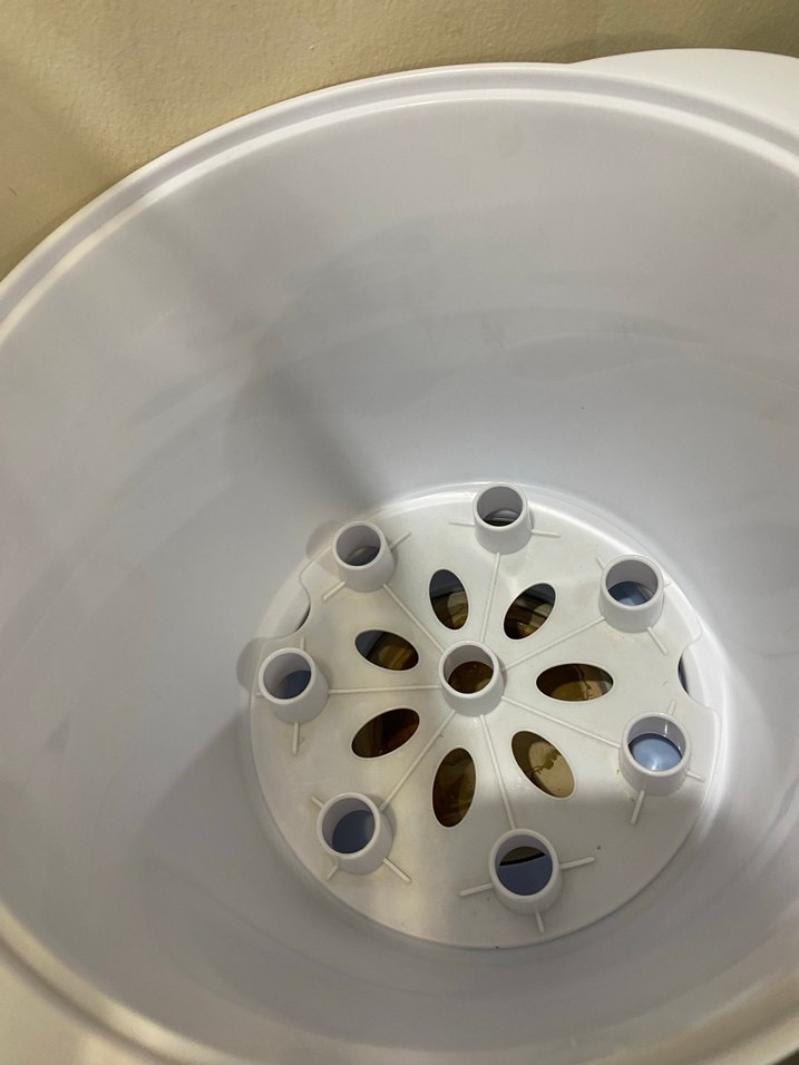 Weewell Pastel Renkli Sterilizatör - Görsel 4