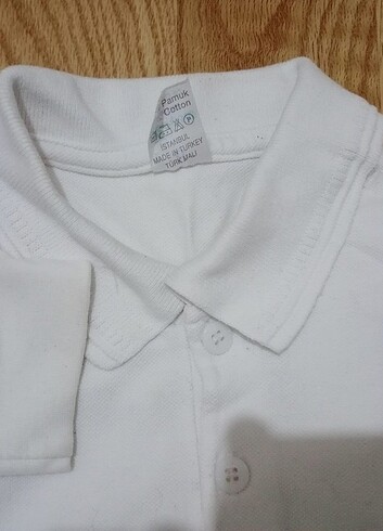 Polo yaka Lacoste t şort 