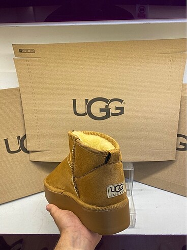 38 Beden Ugg Bot