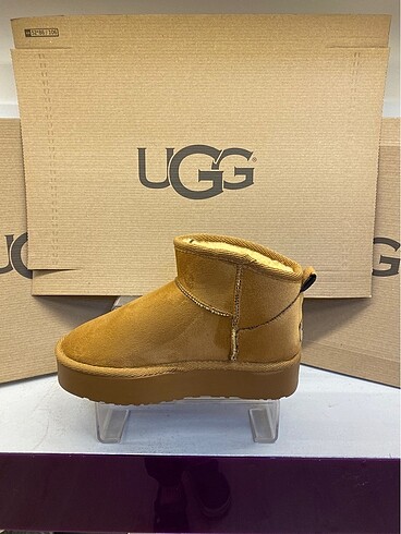 Ugg Ugg Bot