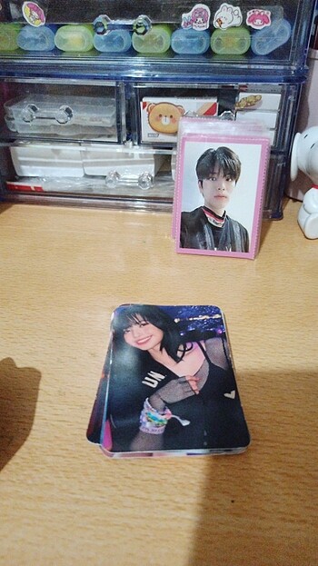 10 adet lisa