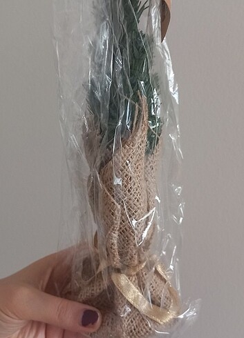 Açılabilir Mini Çam Ağacı 20cm