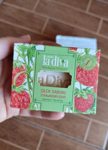 Diğer Ladiva aromalı sabunlar