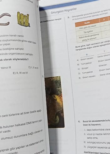  Beden biyoloji
