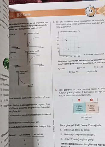  Beden biyoloji