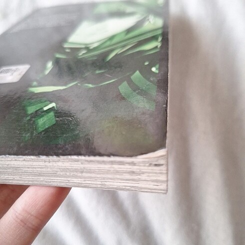  Beden Seraph of the end manga