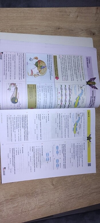 Beden Yks tyt ayt kitap biyoloji
