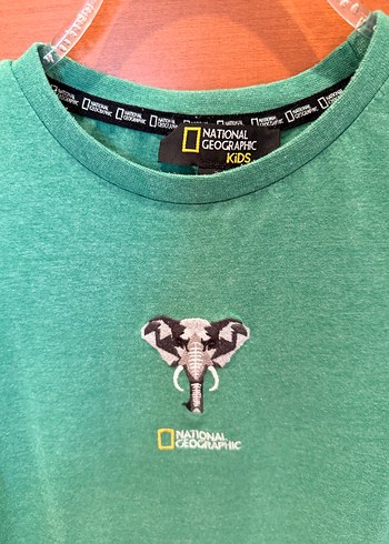 National Geographic 9-10 Yeşil T-shirt - Görsel 2