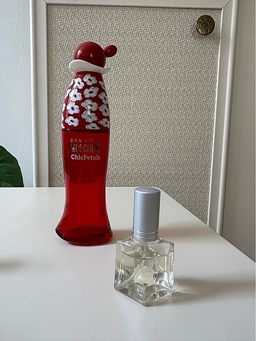 Love Moschino Moschino Chic Petals Parfüm