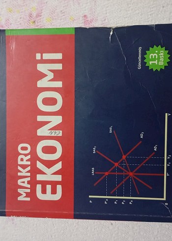 Makro Ekonomi Kitabı 13. Baskı