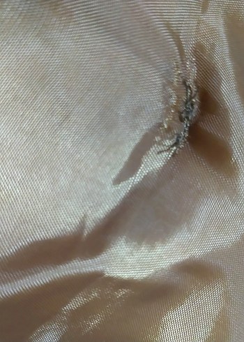 Kahverengi Uzun Deri Kadın Kışlık Mont - Görsel 3