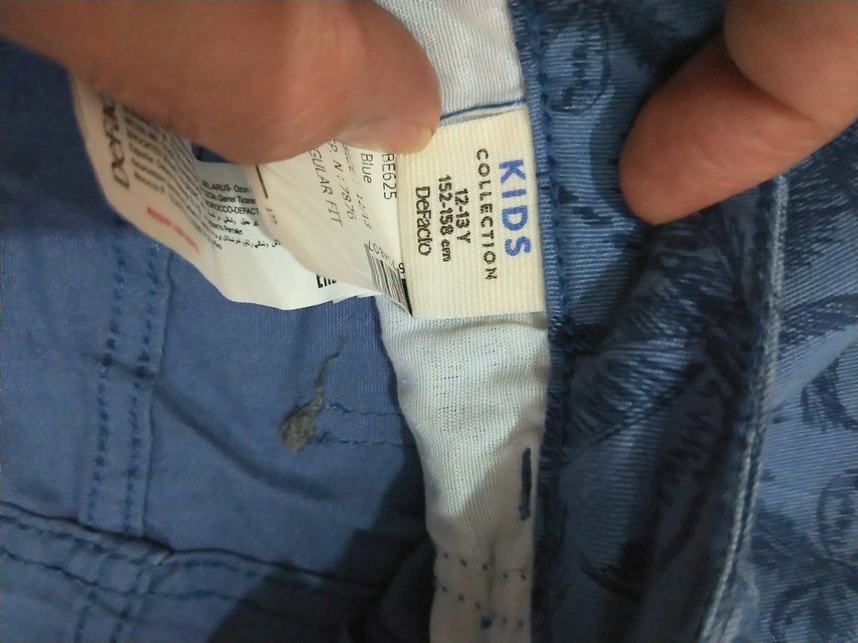 Erkek Çocuk Mavi Desenli Regular Fit Şort - Görsel 3