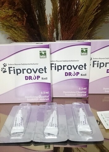 Dış parazit
