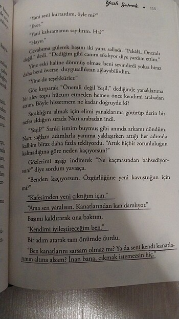 Beden Yeşili Sevmek