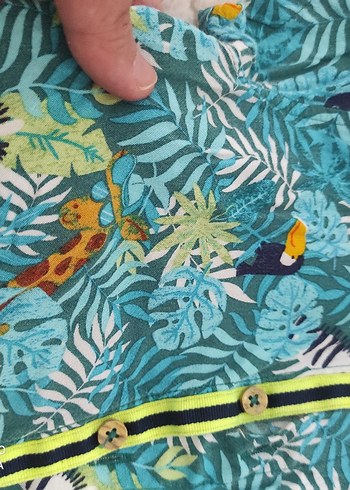 Renkli Tropikal Desenli Erkek Gömlek - Görsel 3