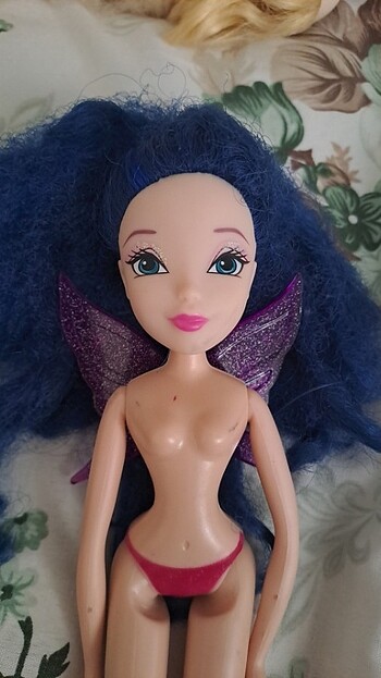 Winx miusa