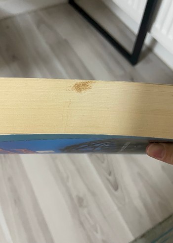 Türk Dili Tarihi - Başlangıçtan 20. Yüzyıla - Görsel 2