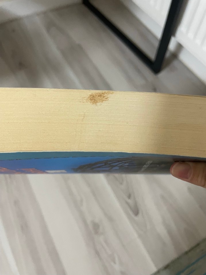 Türk Dili Tarihi - Başlangıçtan 20. Yüzyıla - Görsel 2