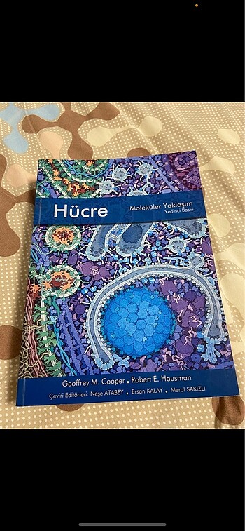 Hücre